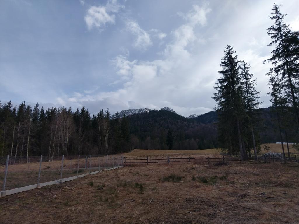 Apartamencik Z Widokiem Na Giewont Zakopane Ngoại thất bức ảnh
