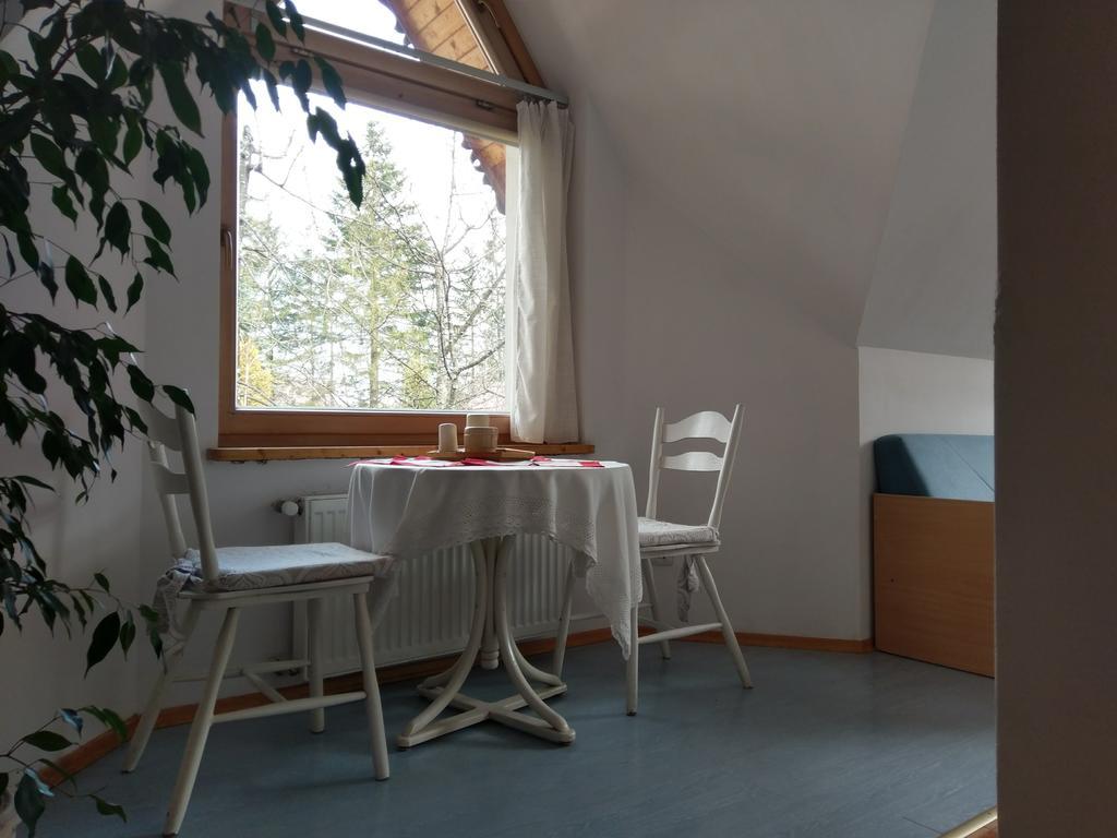 Apartamencik Z Widokiem Na Giewont Zakopane Ngoại thất bức ảnh