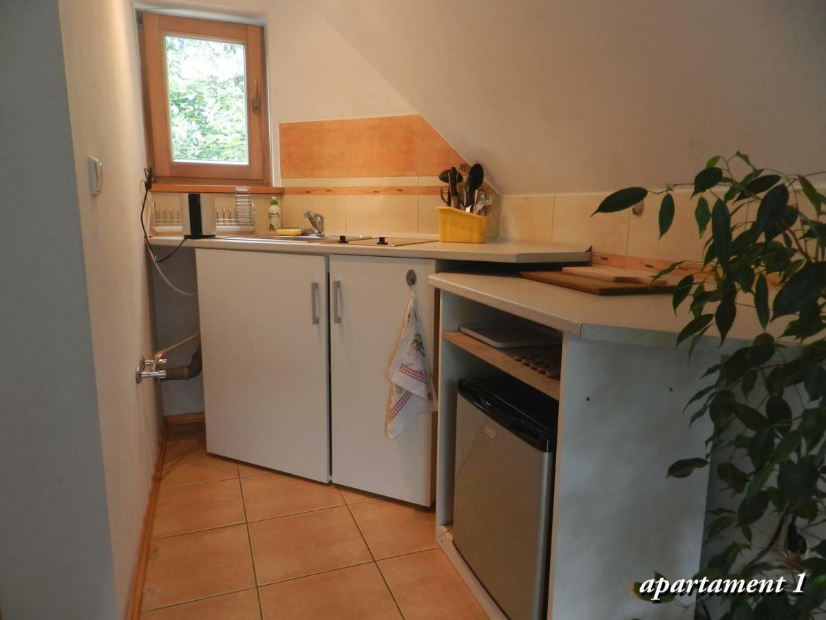 Apartamencik Z Widokiem Na Giewont Zakopane Ngoại thất bức ảnh