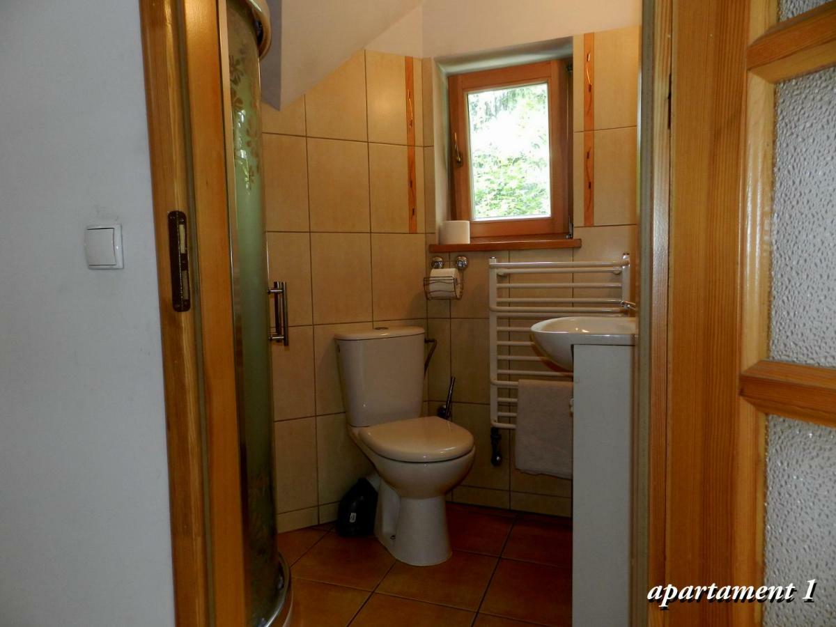 Apartamencik Z Widokiem Na Giewont Zakopane Ngoại thất bức ảnh